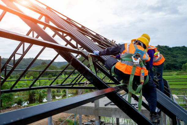 Best Roof Replacement Cost  in Virginia, MN