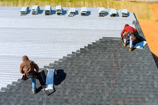 Best Shingle Roofing Installation  in Virginia, MN