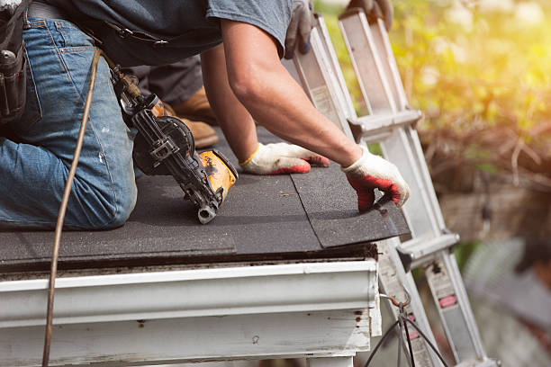 Best Roof Gutter Cleaning  in Virginia, MN