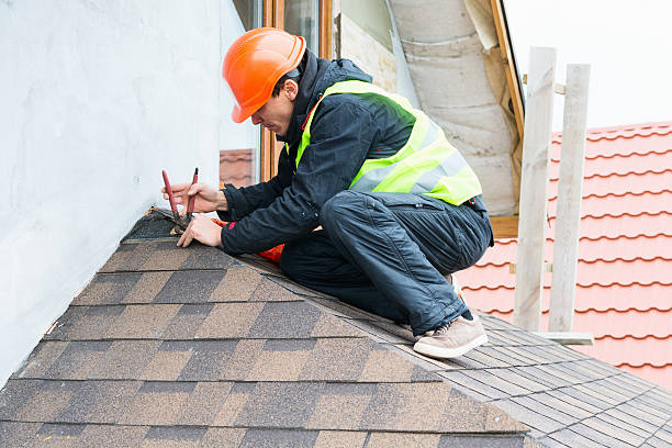 Best Roof Restoration Services  in Virginia, MN