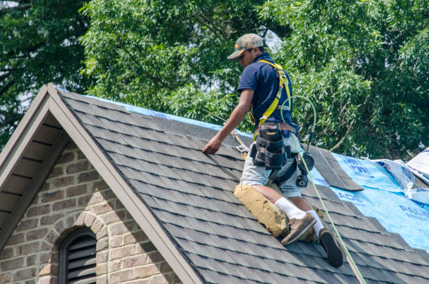 Best Shingle Roofing Installation  in Virginia, MN